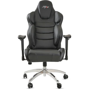 Xyracer Profesyonel Oyun | Oyuncu Koltuğu Bilgisayar Koltuğu Siyah Swx Serisi