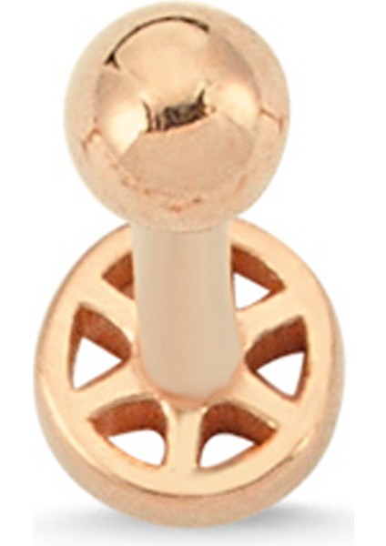 Altınsepeti Rose Altın Mini Top Tragus Küpe AS58PCR2 fiyatları