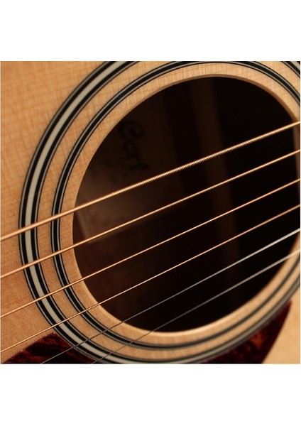 AF510E-OPW Elektro Akustik Gitar Kılıflı modelleri