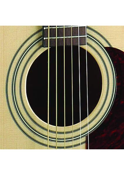 EARTH70OP Akustik Gitar