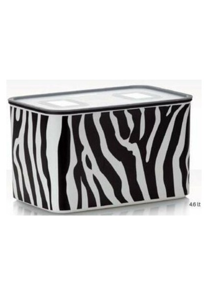Zebra 4 Lt
