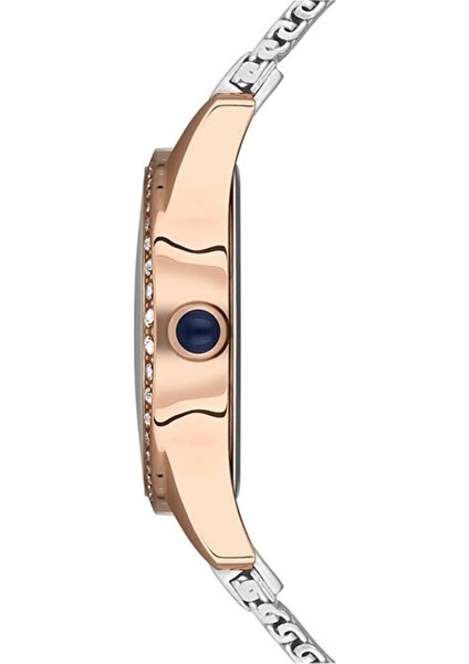 USPA2039-04 Kadın Kol Saati fiyatları