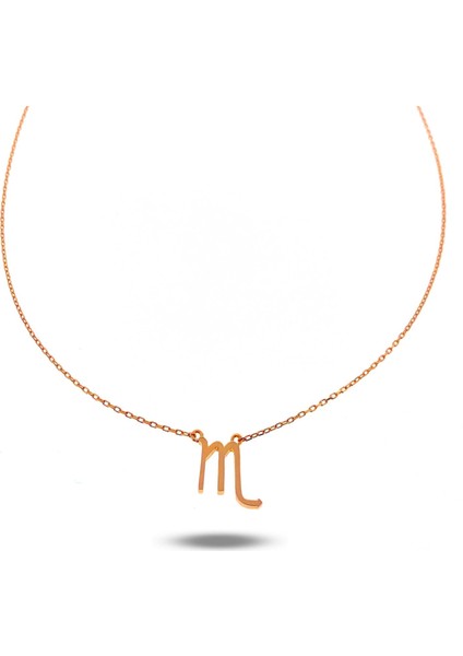 Gümüş Burç Zodiak Kolye