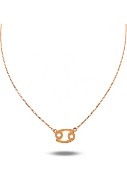Gümüş Burç Zodiak Kolye