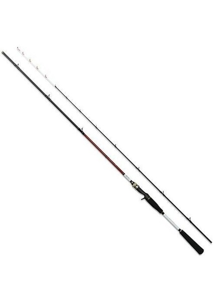 Naikai Tai Sabiki Tetikli Olta Kamışı 20 - 60 gr