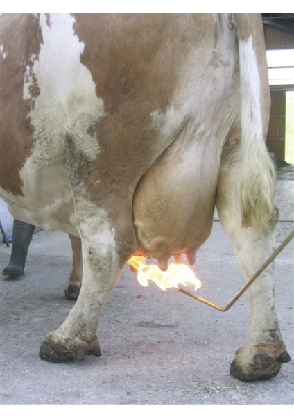 Meme Tüyü Temizleyici fiyatları