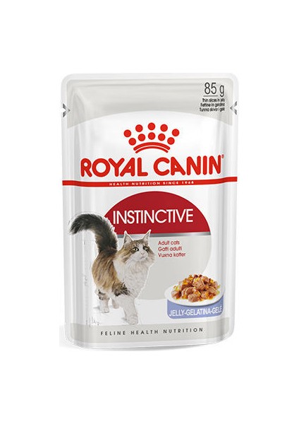 Instinctive Jelly Kedi Pouch Konserve 6X85 gr