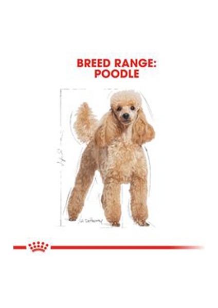 Poodle Adult 3 kg