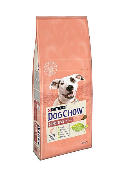 Dog Chow Somon Balıklı Yetişkin Kuru Köpek Maması 14 kg