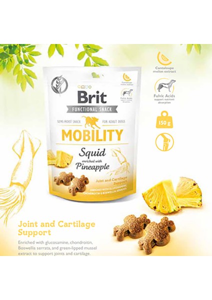 Mobility Ananas & Kalamarlı Köpek Ödülü 150 gr