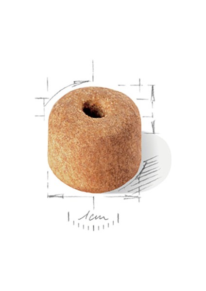 Labrador Yetişkin Köpek Maması 12 kg fiyatları