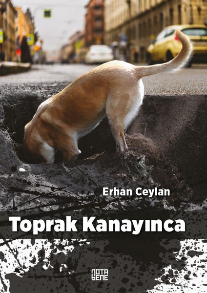 Toprak Kanayınca - Erhan Ceylan