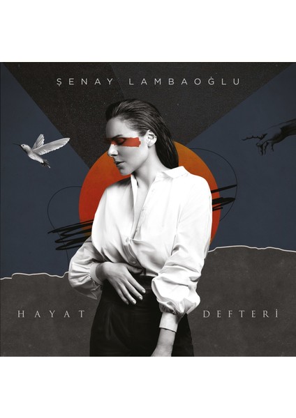 Şenay Lambaoğlu-Hayat Defteri ( Plak)