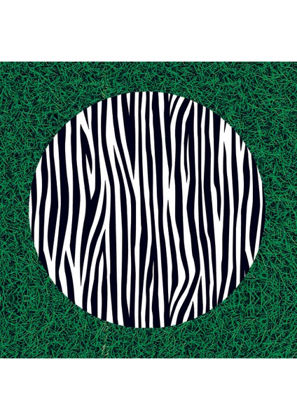Yuvarlak Piknik Örtüsü Zebra Desenli