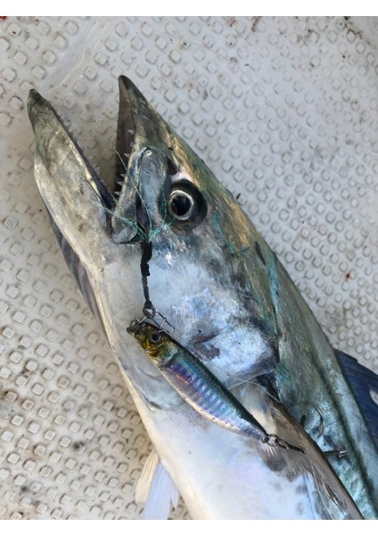 Metal Adict 01 60 gr Jig Yem - 05 fiyatları