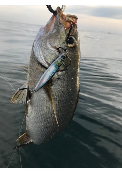 Metal Adict 01 60 gr Jig Yem - 05 modelleri