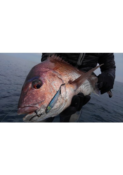 Metal Adict 01 60 gr Jig Yem - 05 fırsatları