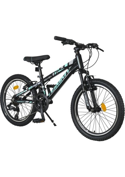 Rıven Alüminyum Kadro 20 Jant 21 Vites Dağ Bisikleti