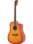 WA90CTS Akustik Gitar 3