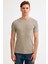 Bisiklet Yaka Basic Tshirt 3