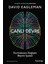 Canlı Devre Durmaksızın Değişen Beynin Içyüzü - David Eagleman 1