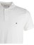Erkek Polo 3
