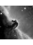 , Polarie Star Tracker 5