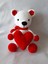 Kalpli Ayıcık Amigurumi Oyuncak 1