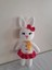 Sevimli Süslü Tavşan Amigurumi Organik Oyuncak 1