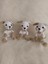 Oturan Sevimli Köpek Amigurumi Organik Oyuncak 5