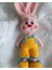Alyanak Tavşan Amigurumi Organik Oyuncak 1