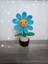 Amigurumi Organik Saksıda Papatya 1