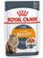 Royal Canin Intense Beauty Jelly Yetişkin Kedi Konserve 12X85 gr 1