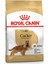 Cocker Yetişkin Köpek Maması 3 kg 1