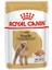 Royal Canin Poodle Pouch Köpek Konservesi 85 gr 1