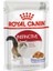 Instinctive Jelly Kedi Pouch Konserve 6X85 gr 1