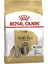 Shih Tzu Adult 1,5 kg 1