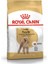 Poodle Adult 3 kg 1