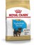 Yorkshire Junior Köpek Maması 1,5 kg 1