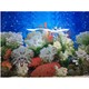 Naturel Color Akvaryum Arka Fon Manzara Çift Taraflı Mercan Bitki 50 cm 1 m