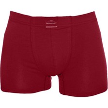 Malabadi Erkek Boxer 074