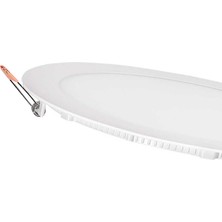Ycl ASM-1006G 6W Sıvaüstü Yuvarlak Günışığı LED Pa