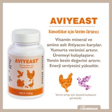 Aviyeast Tüm Kuşlar İçin Yem 80 GR