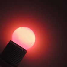 Sunlight Top LED Gece Lambası 1W Tasarruflu Beyaz Kırmızı Mavi Sarı E27