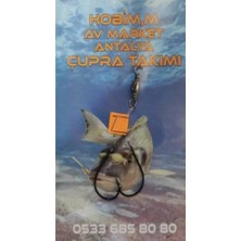 Yılan Dili Çupra Takımı