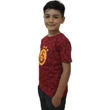 Galatasaray Çocuk Lisanslı Armalı Tshirt