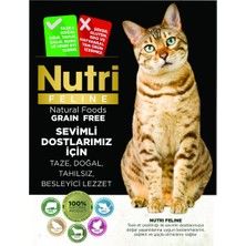 Nutri Feline Tahılsız 85GR Tavuk Sığır &patatesli Adult Nutri Feline Yaş Kedi Maması