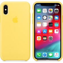 Nettech Apple iPhone x Uyumlu Arka Koruma Silikon Kılıf