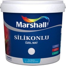 Marshall 7,5 Lt Marshall Silikonlu Özel Mat Camgüzeli