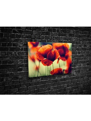 Tablo 360 Çiçekler Kanvas Tablo